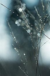 《糖豆人：终极淘汰赛》不知火舞、特瑞皮肤公布